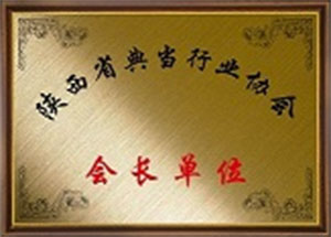 陜西省典當(dāng)協(xié)會(huì)會(huì)長單位